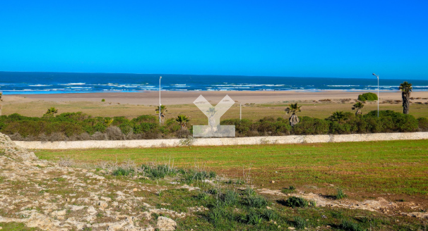 /PN000333/image_928901962.png