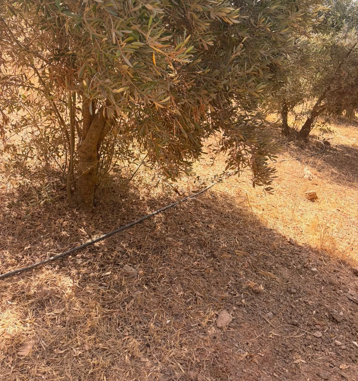 /ba5000982/image_845655542.jpeg