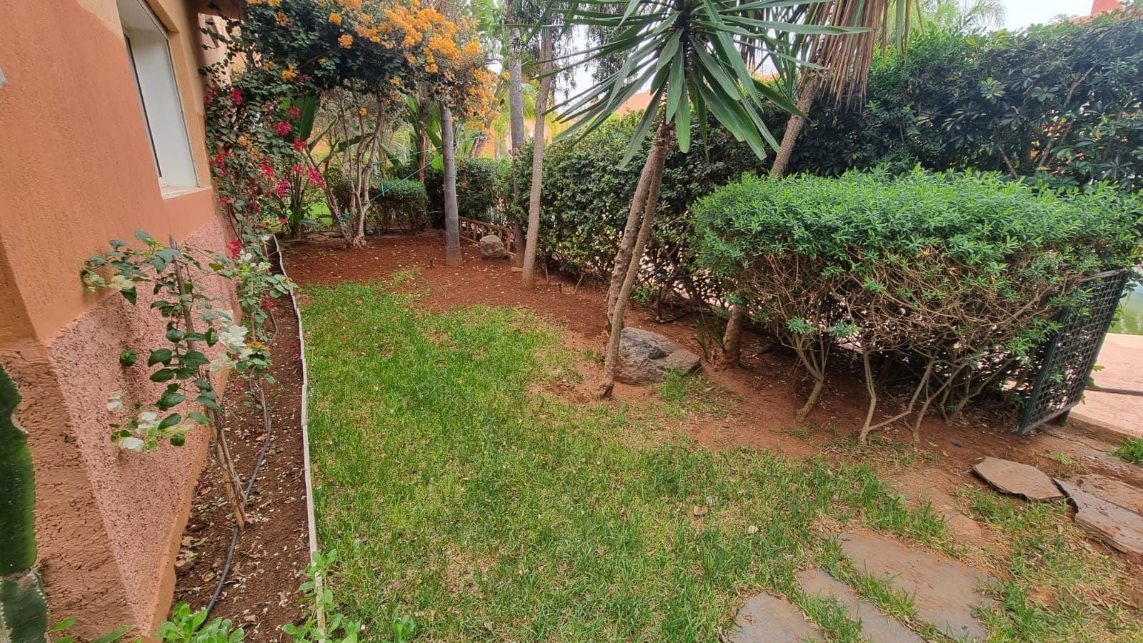 /bi146654/image_989588688.jpeg