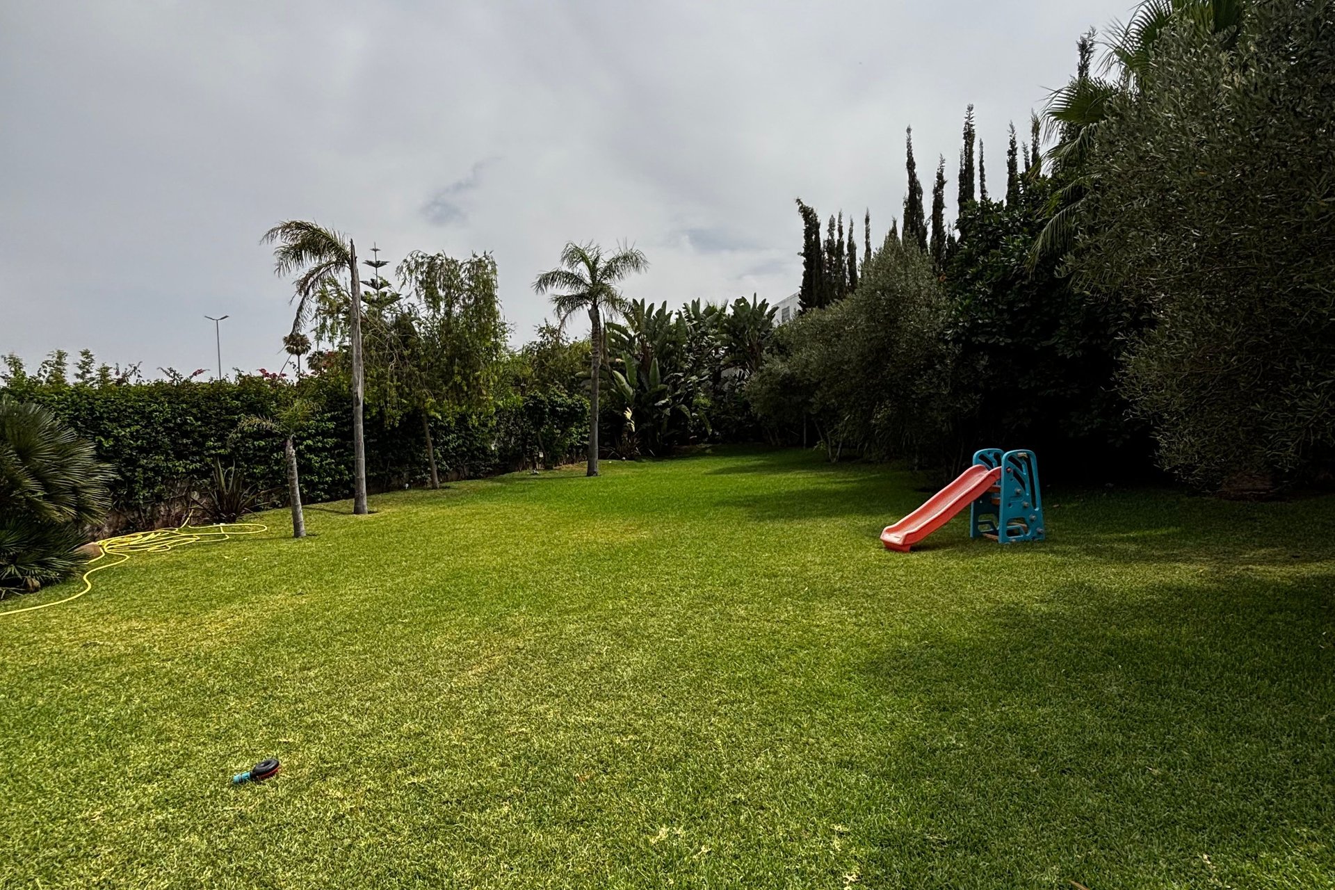 /bi194614/image_841081782.jpeg