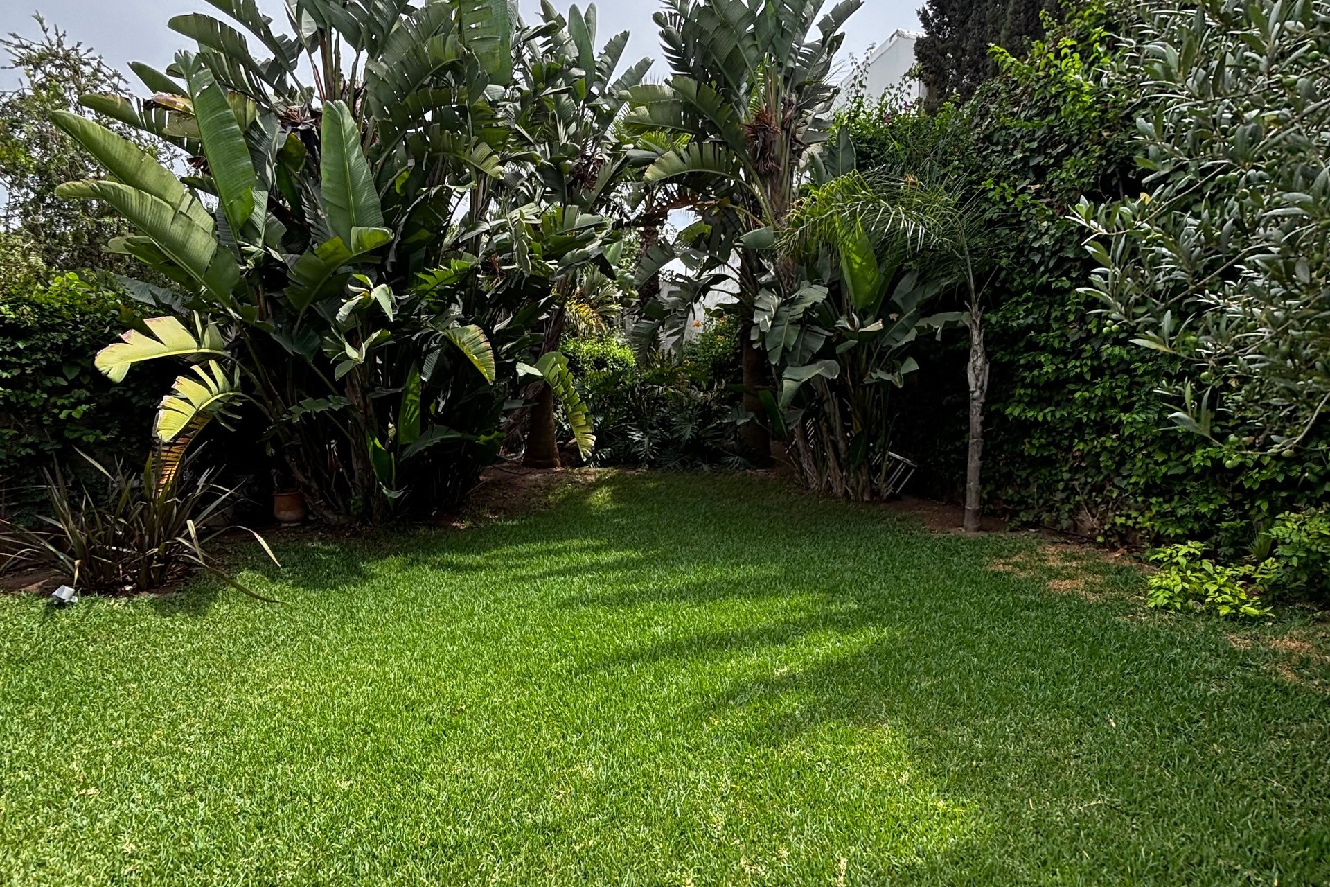 /bi194614/image_896031216.jpeg