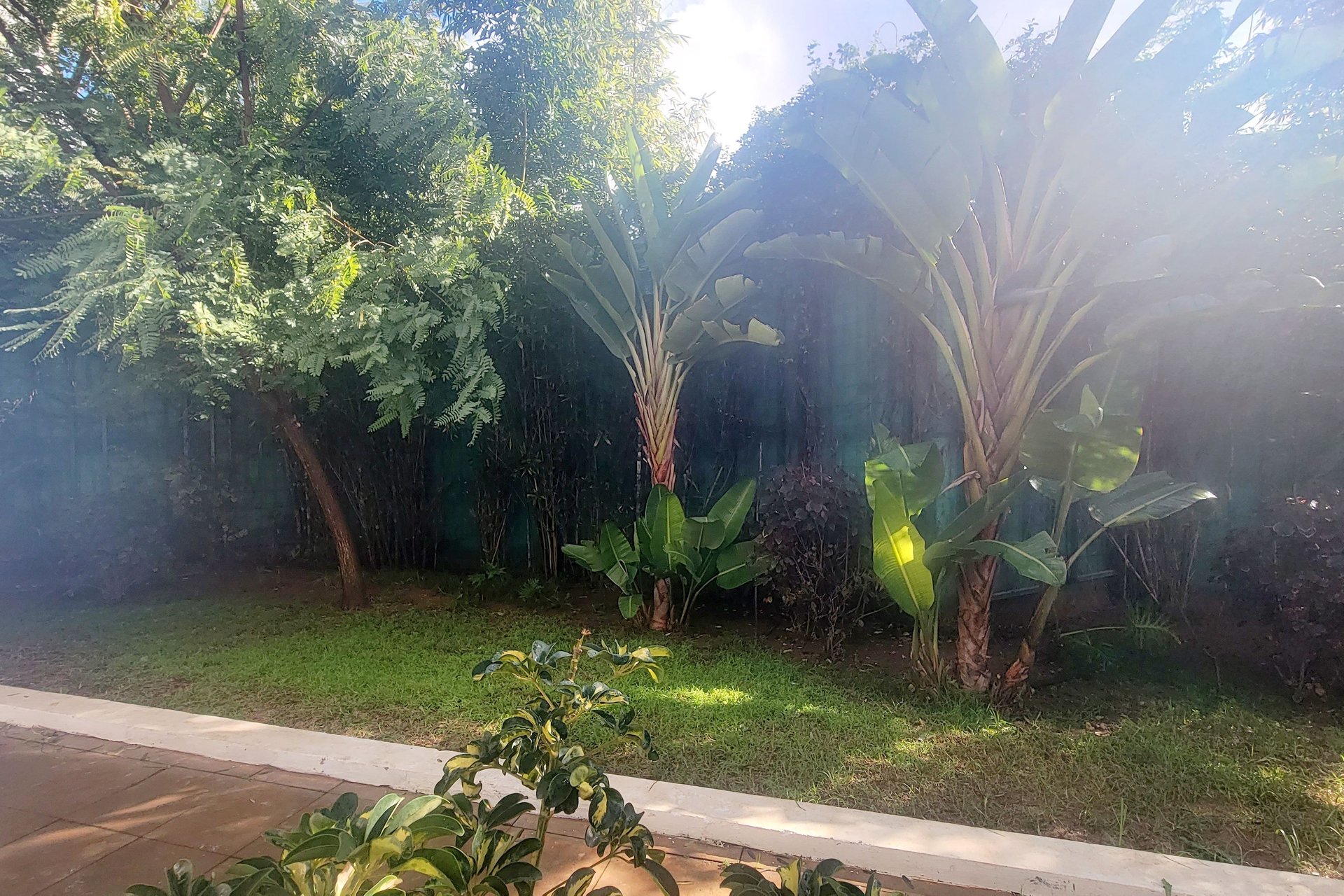 /bs170223/image_22699895.jpg