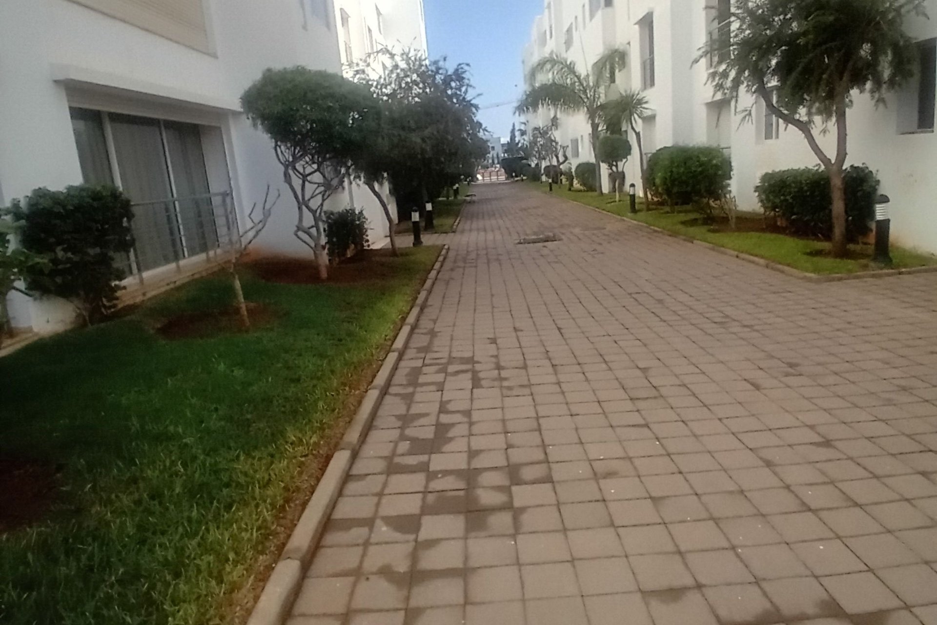 /ca159710/image_738839531.jpg
