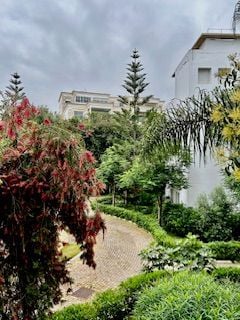 /ca186711/image_747572356.jpeg