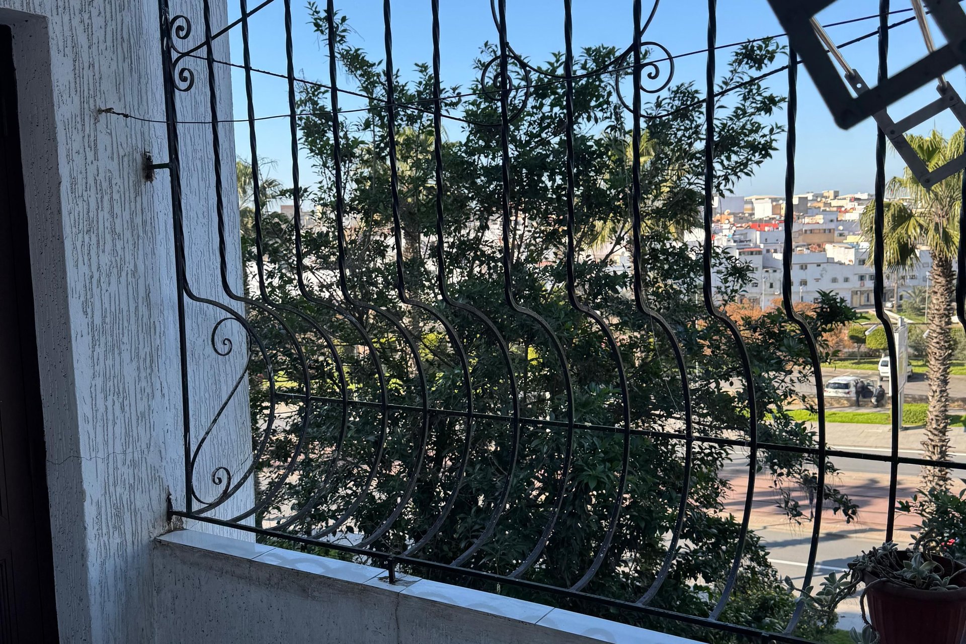 /ca194636/image_175487350.jpg