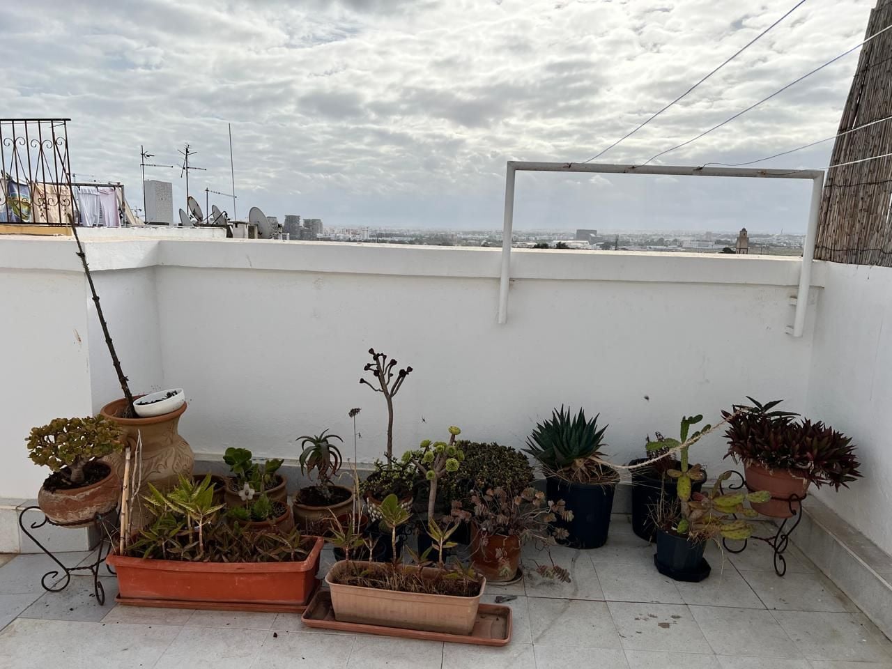 /ca197508/image_797009983.jpeg