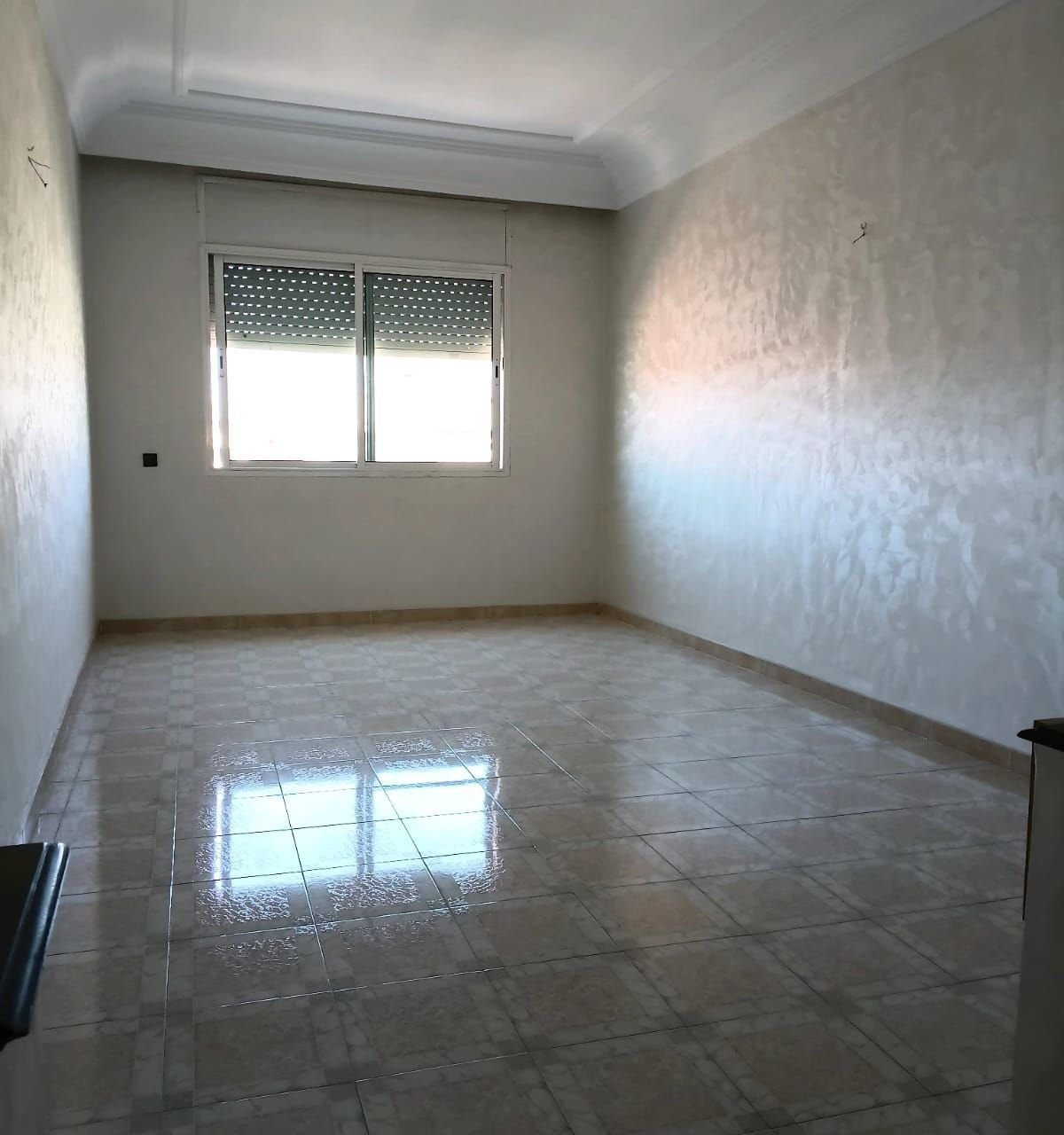 /ca197803/image_453275049.jpeg