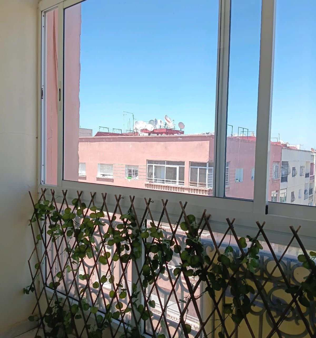 /ca197803/image_625756219.jpeg