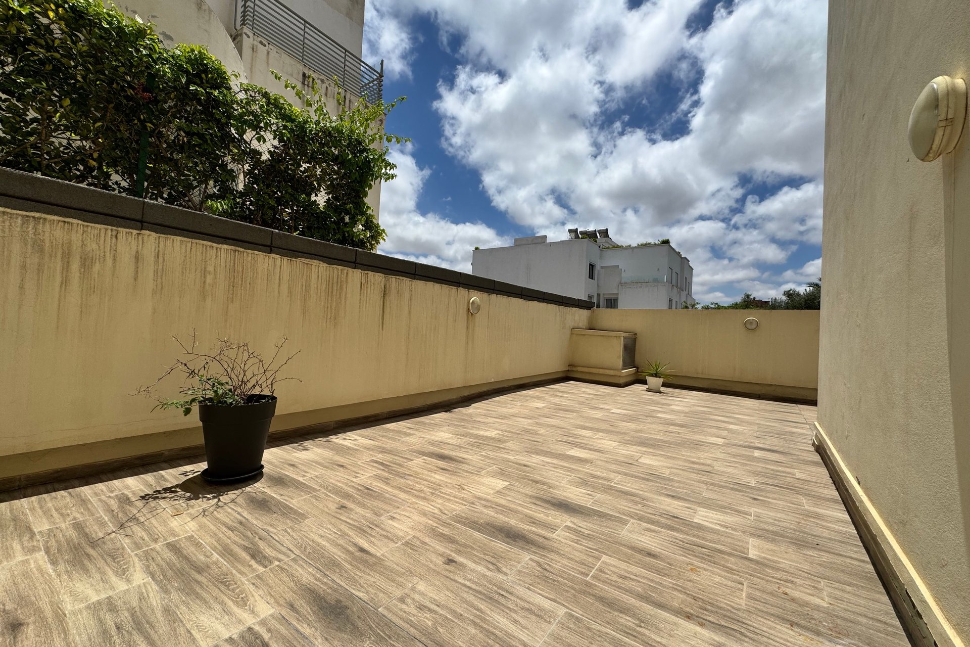 /ca198479/image_341029382.jpeg