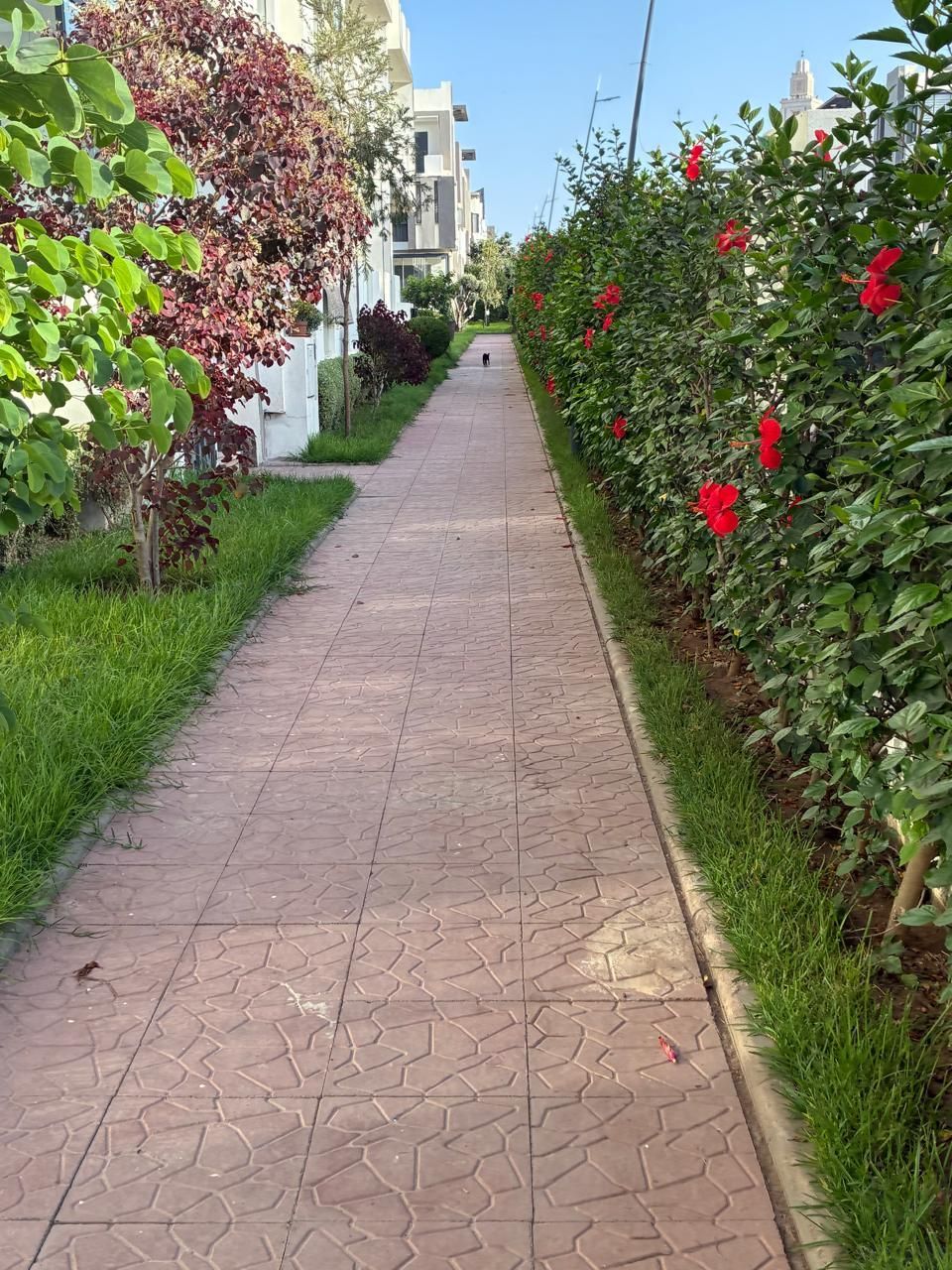 /ca215296/image_380777394.jpeg