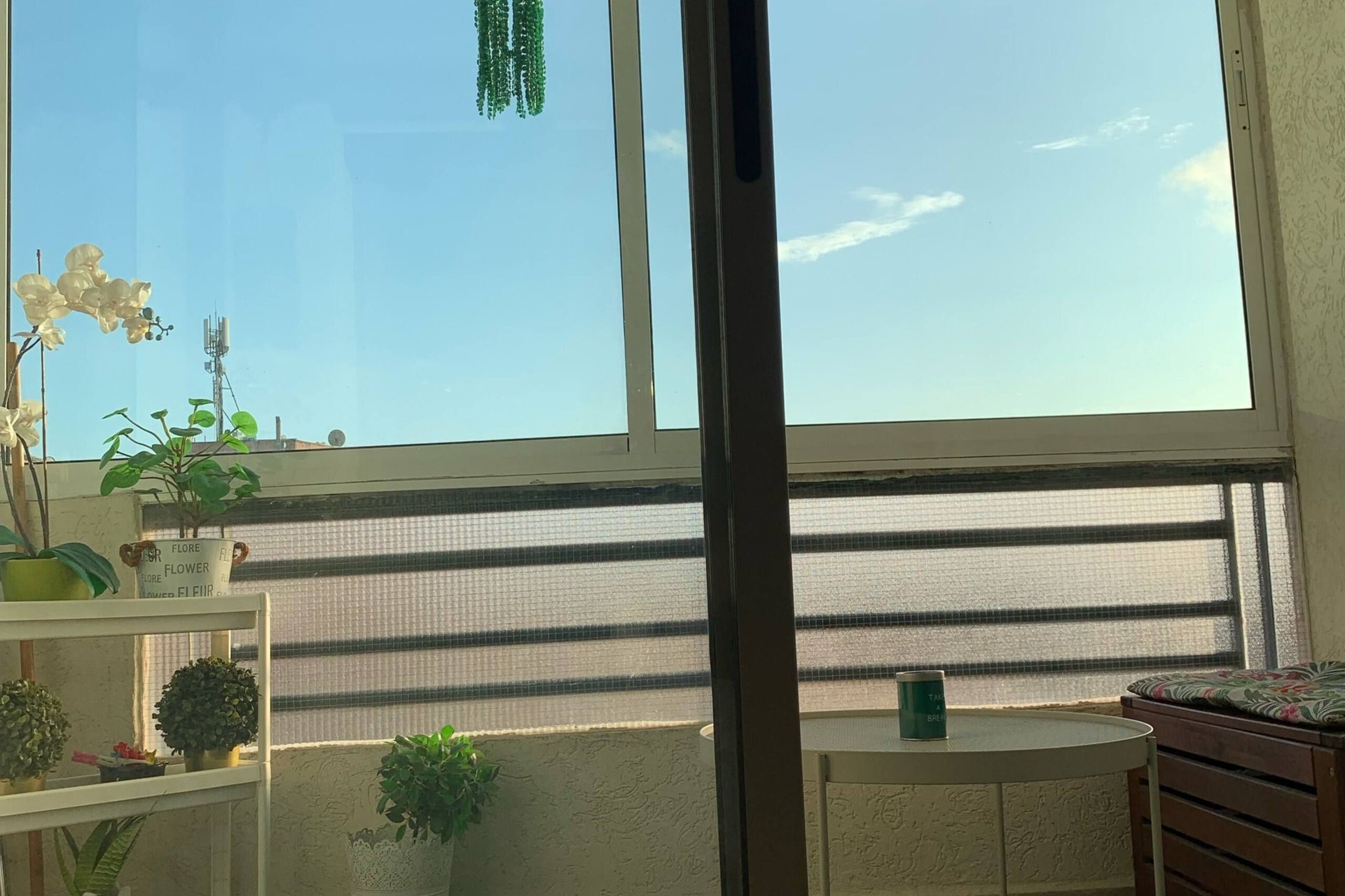 /ca216154/image_646332767.jpg