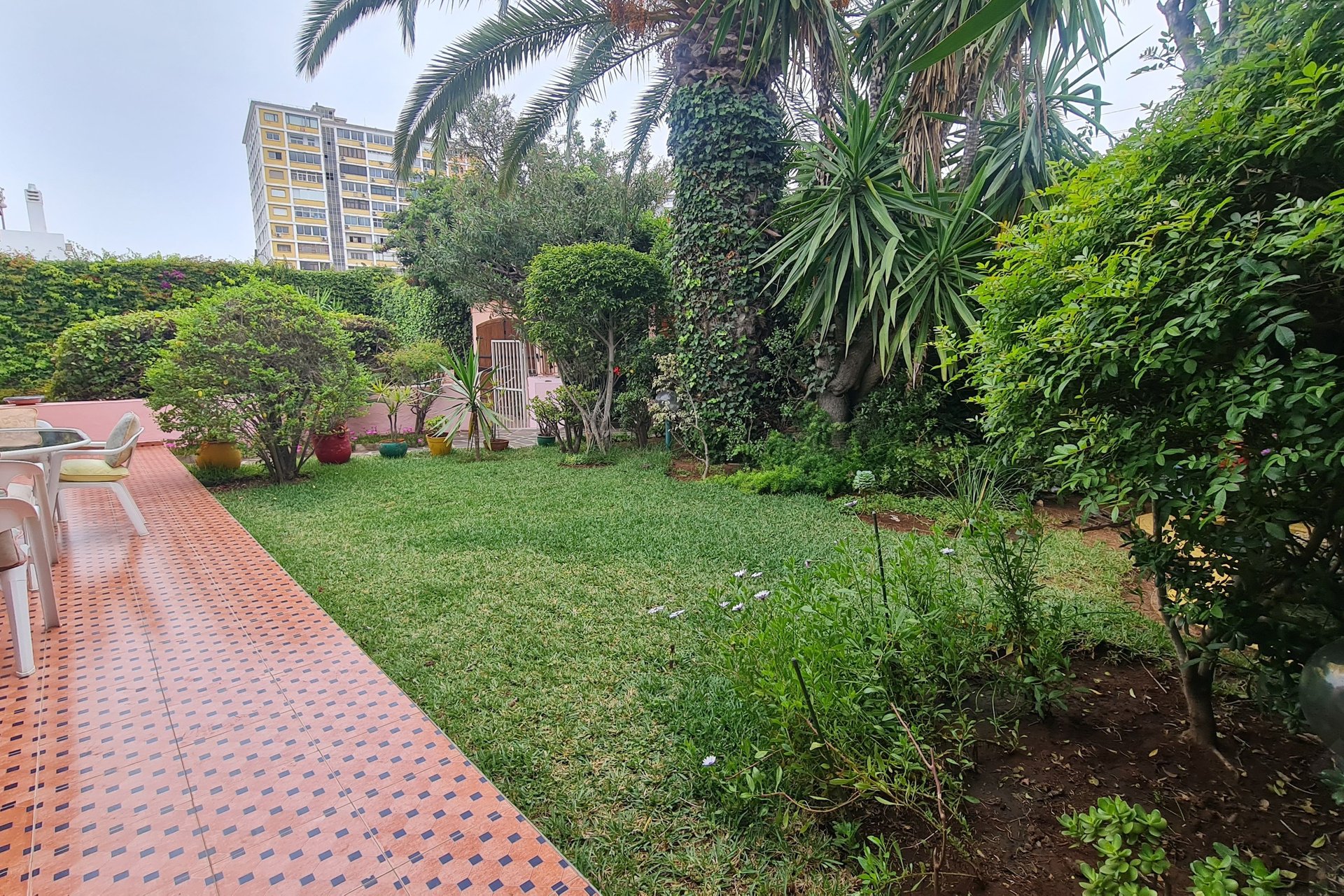 /ci045561/image_360277232.jpg