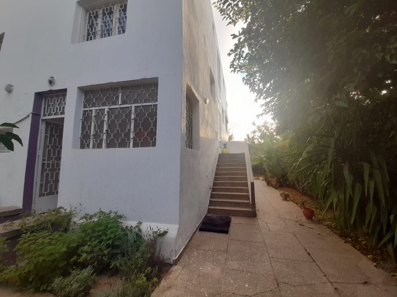/ci164256/image_869827200.jpg