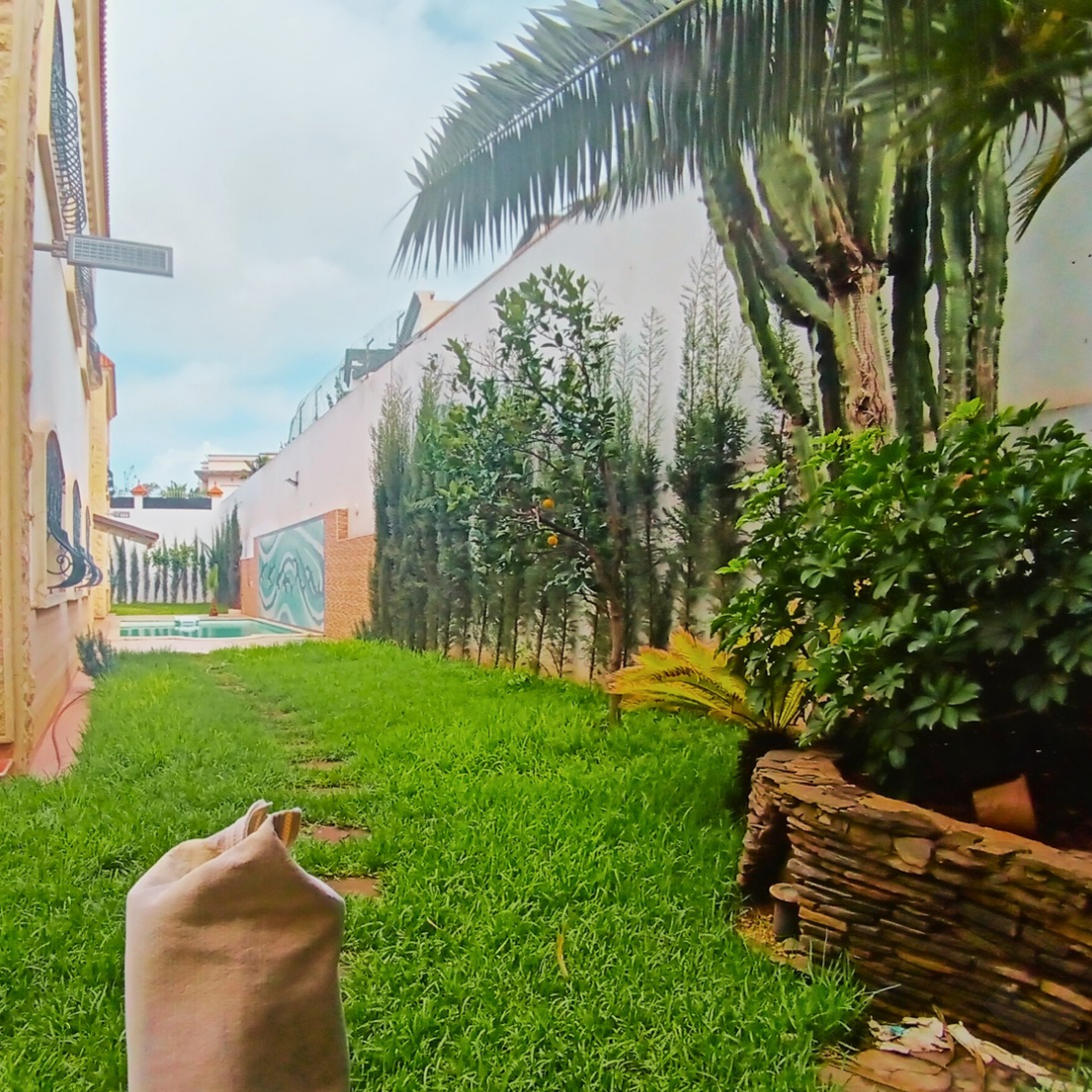 /ci166037/image_214265861.png