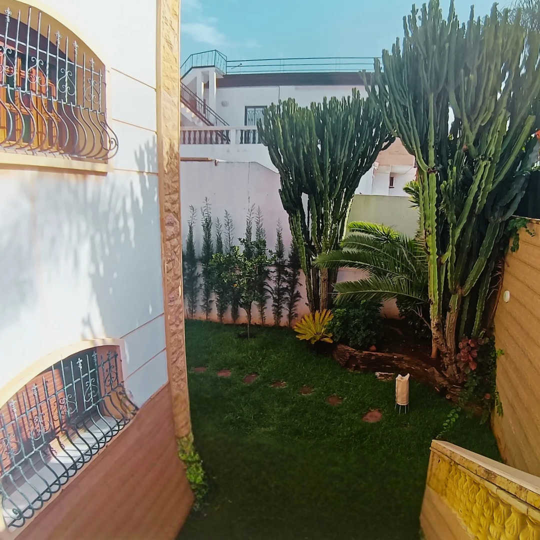 /ci166037/image_902883049.png