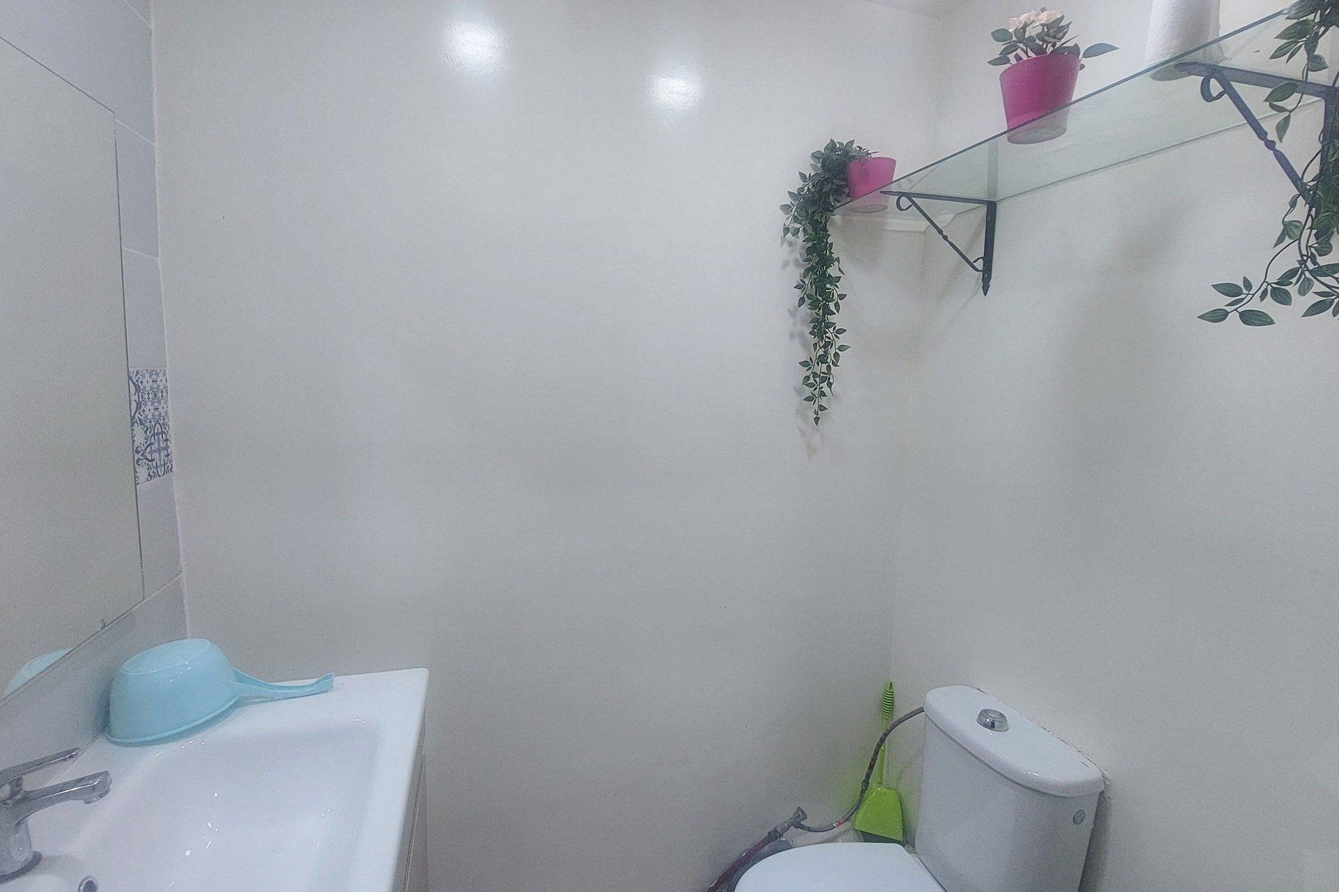 /ci167503/image_708433107.jpg