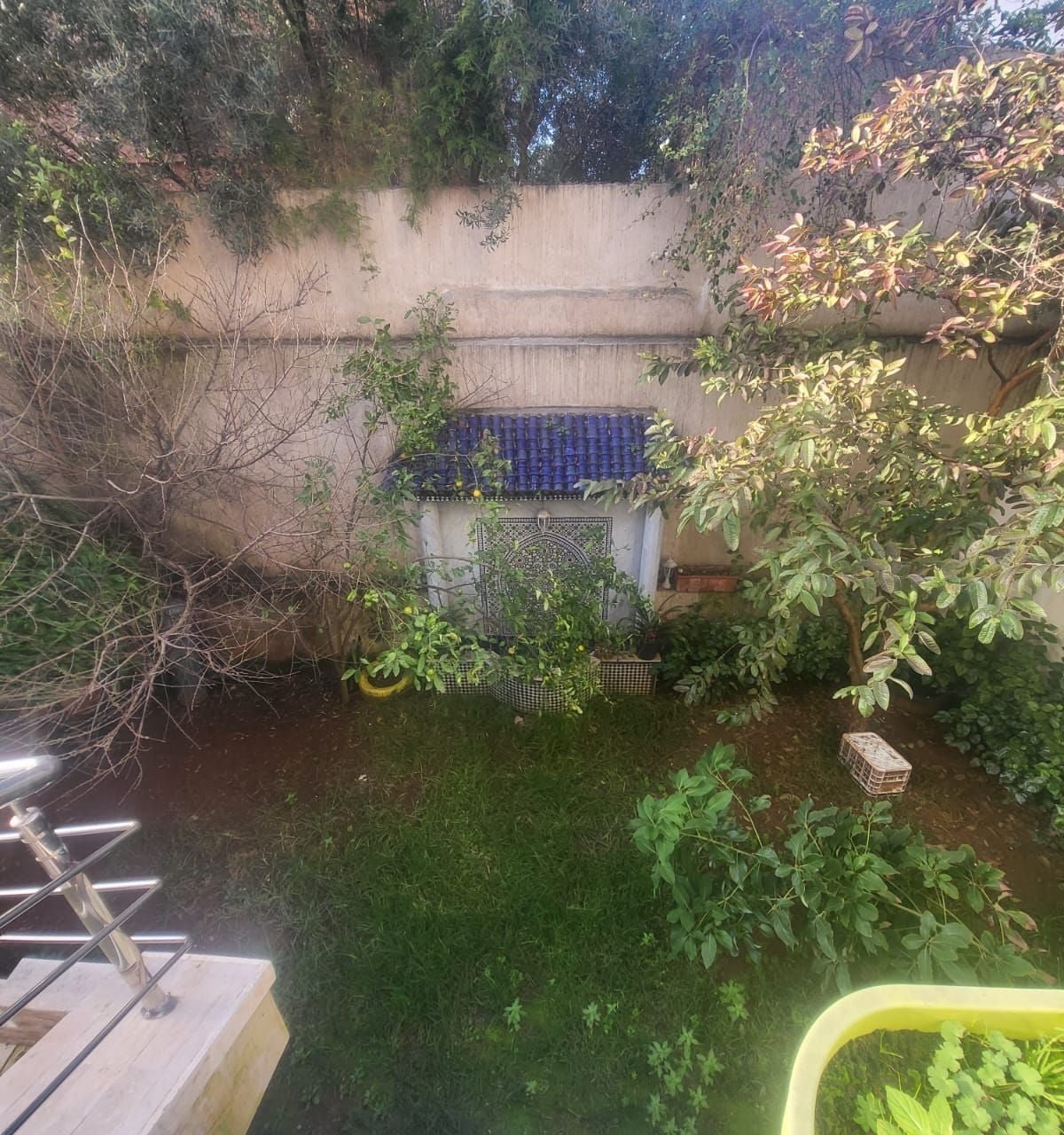 /ci174660/image_777836742.jpeg