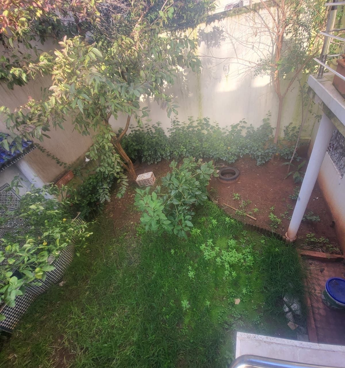 /ci174660/image_849551295.jpeg