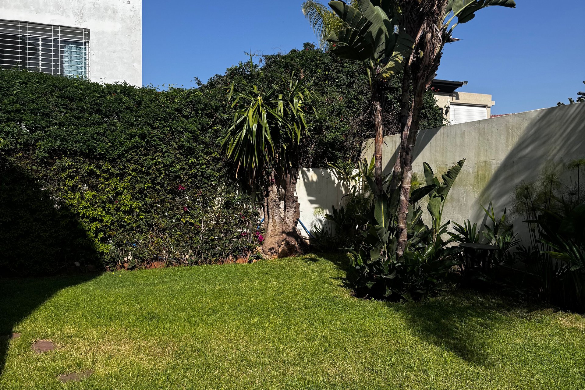 /ci176750/image_677922441.jpg