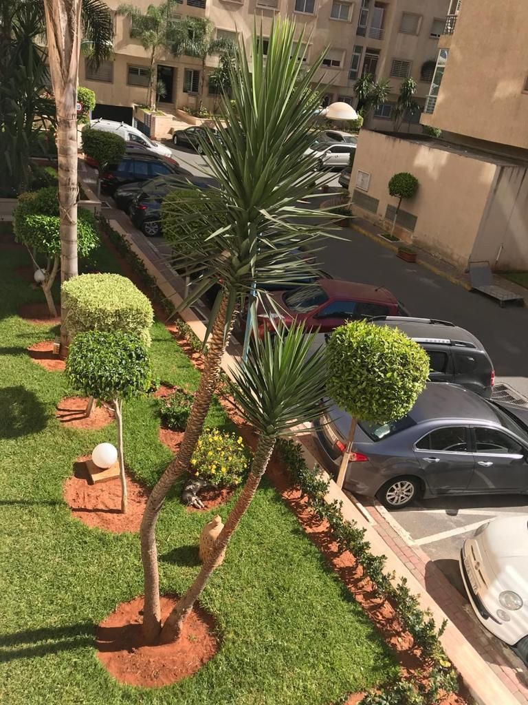 /ci178248/image_51782232.jpeg
