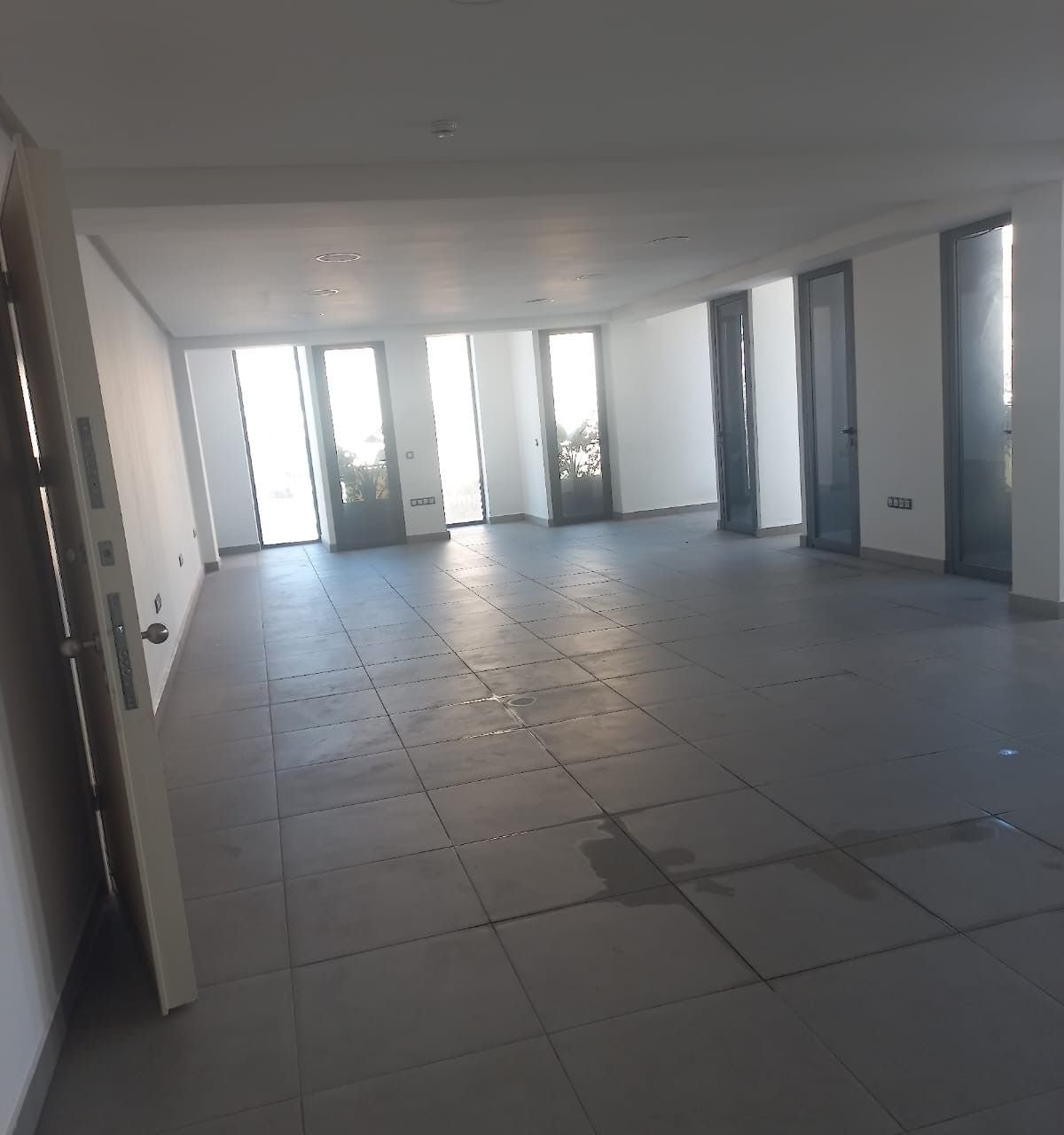 /ci181313/image_57917339.jpeg