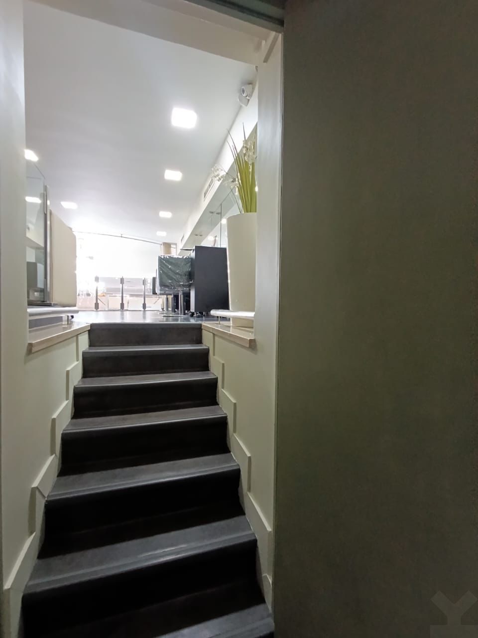 /ci184129/image_920094102.jpg