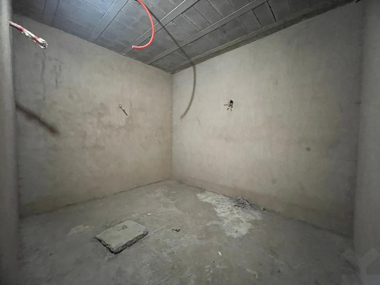 /ci188263/image_467791811.jpeg