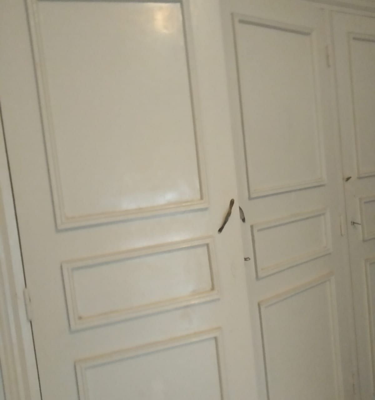 /ci188471/image_69776582.jpg