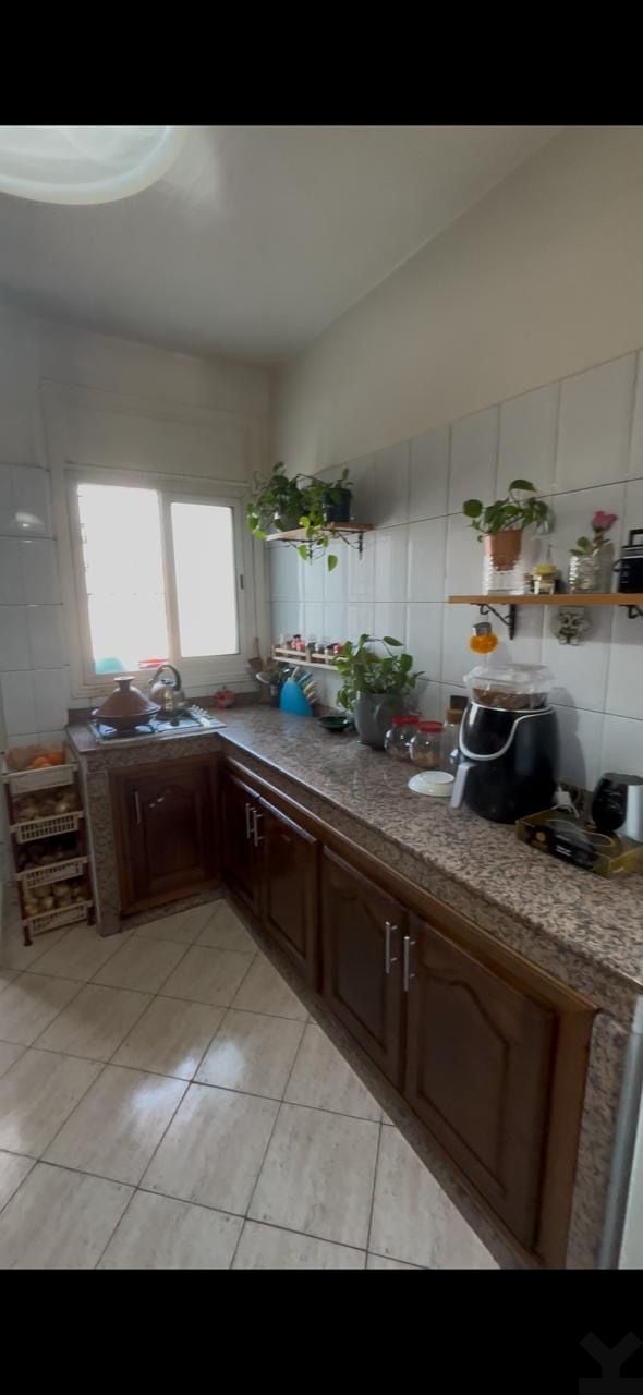 /ci188495/image_43707840.JPG