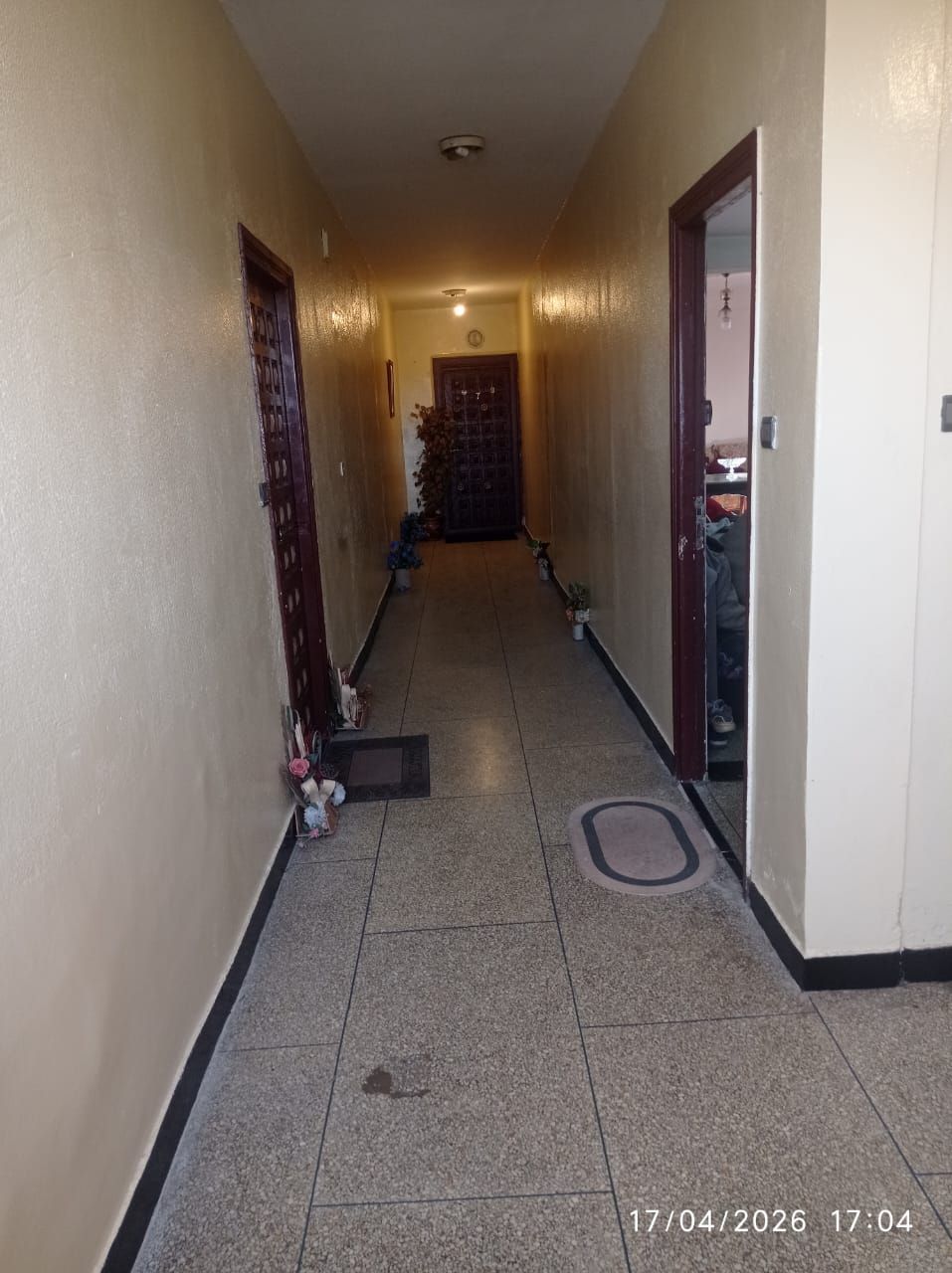 /ci189669/image_365895546.jpg