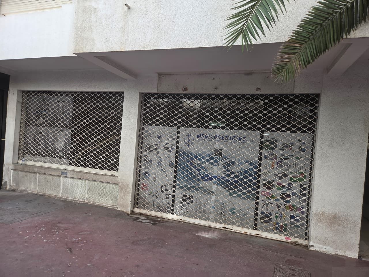 /ci191449/image_666667811.jpeg
