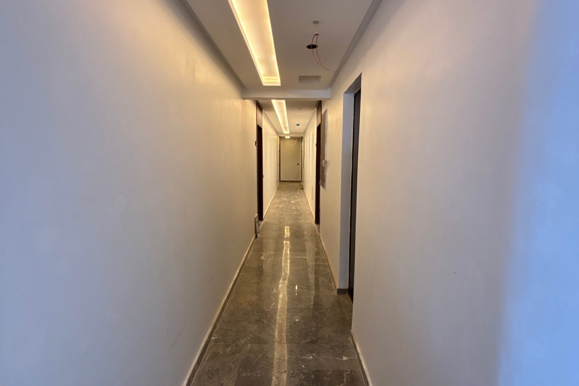 /ci192418/image_410884738.jpg