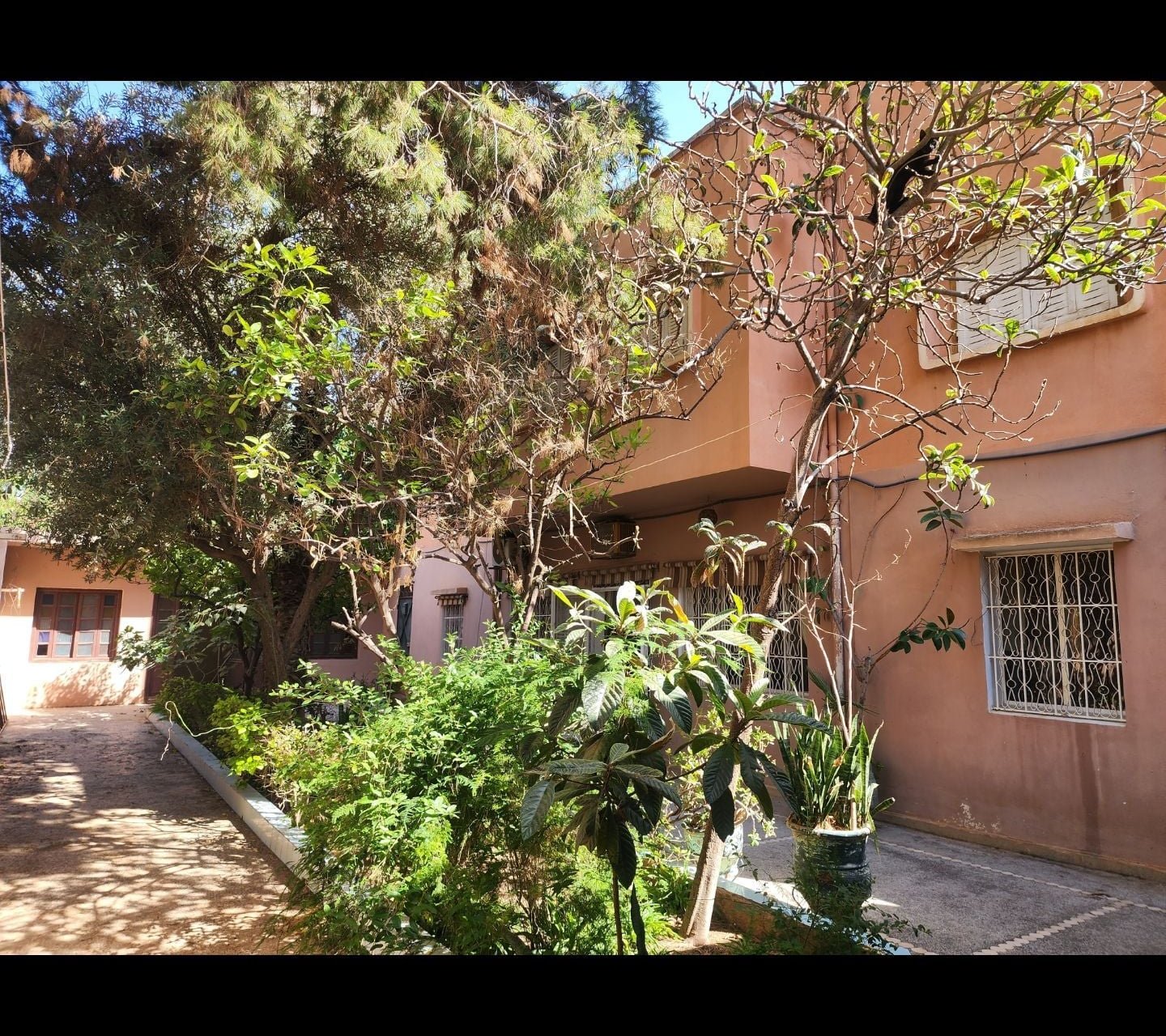 /ci193206/image_286843730.jpg