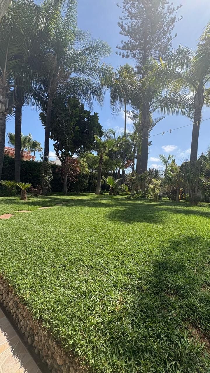 /ci193451/image_244065631.jpeg