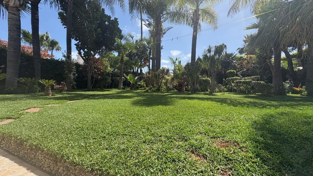 /ci193451/image_284534447.jpeg