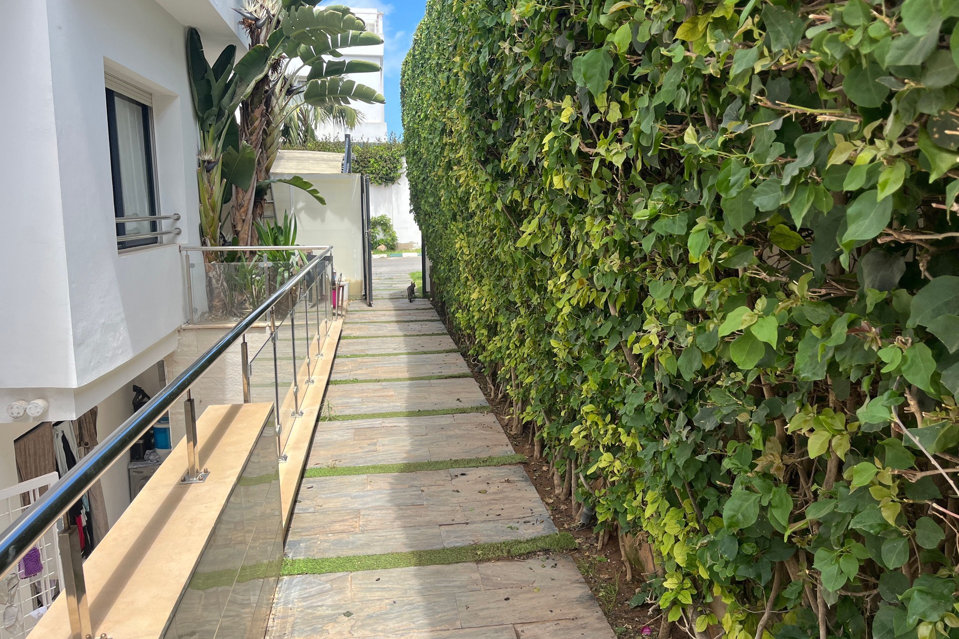 /ci193754/image_850284828.jpeg