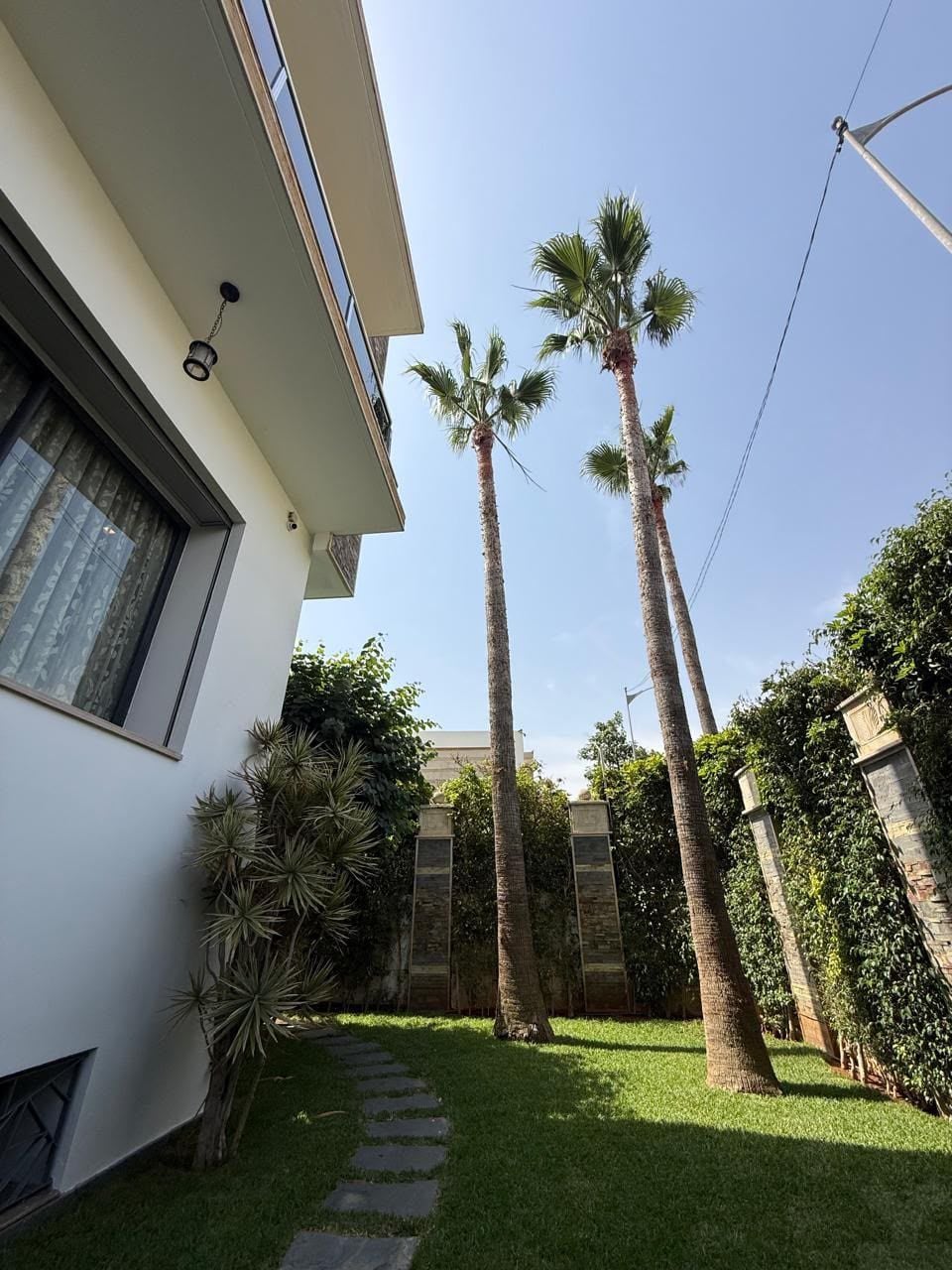 /ci194064/image_6229983.jpg