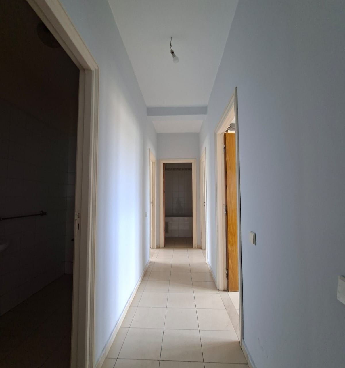 /ci194584/image_597540427.jpeg
