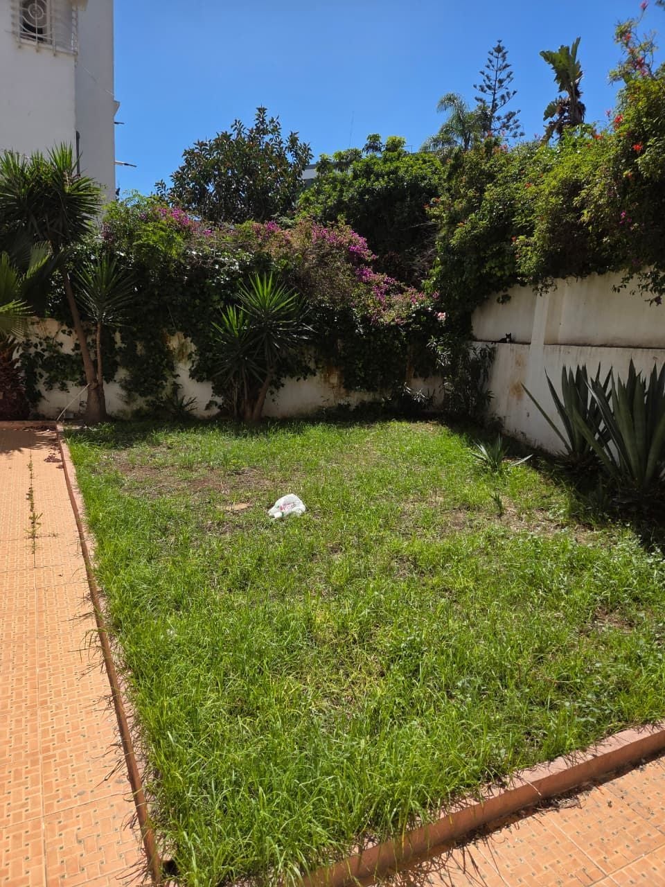 /ci195287/image_723431897.jpeg
