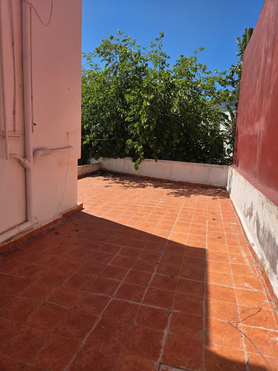 /ci195287/image_826279211.jpeg