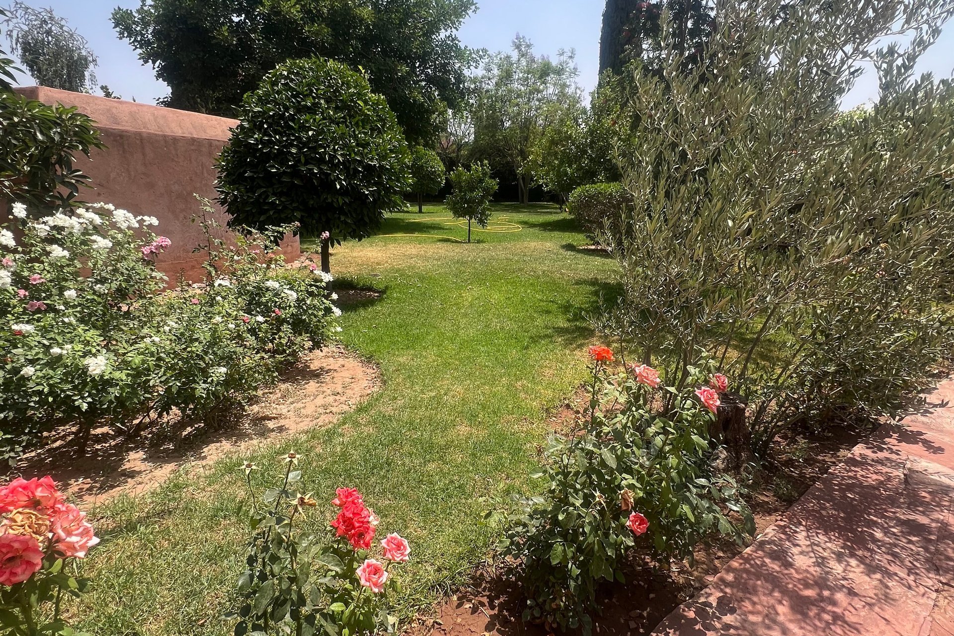 /ci195979/image_493439338.jpg