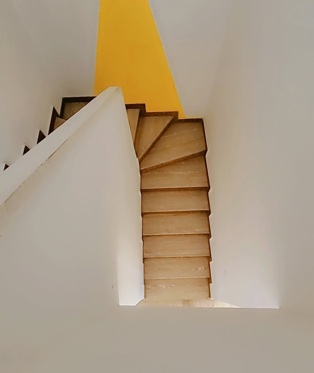 /ci197464/image_62778405.jpg