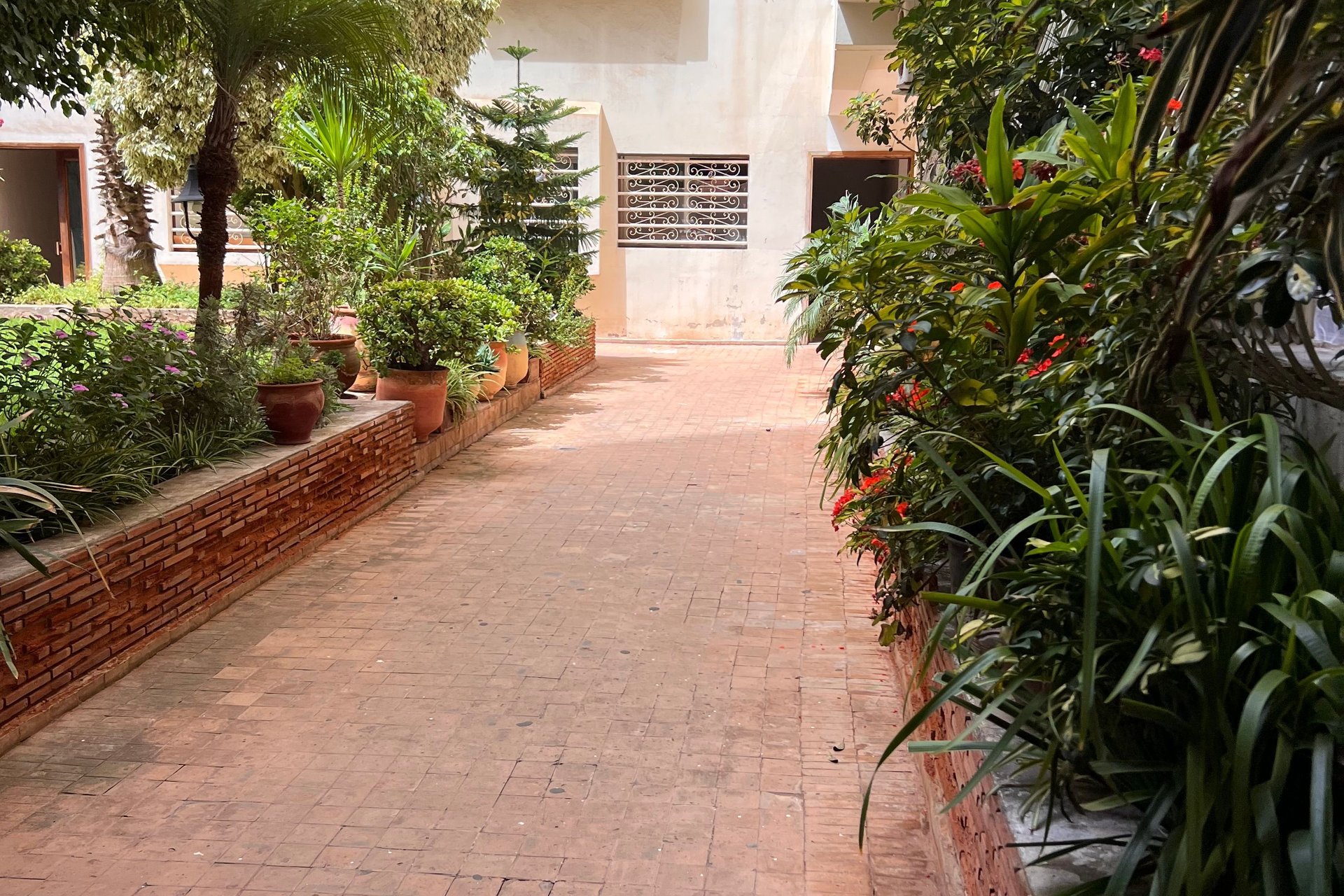 /ci202198/image_425634673.jpg