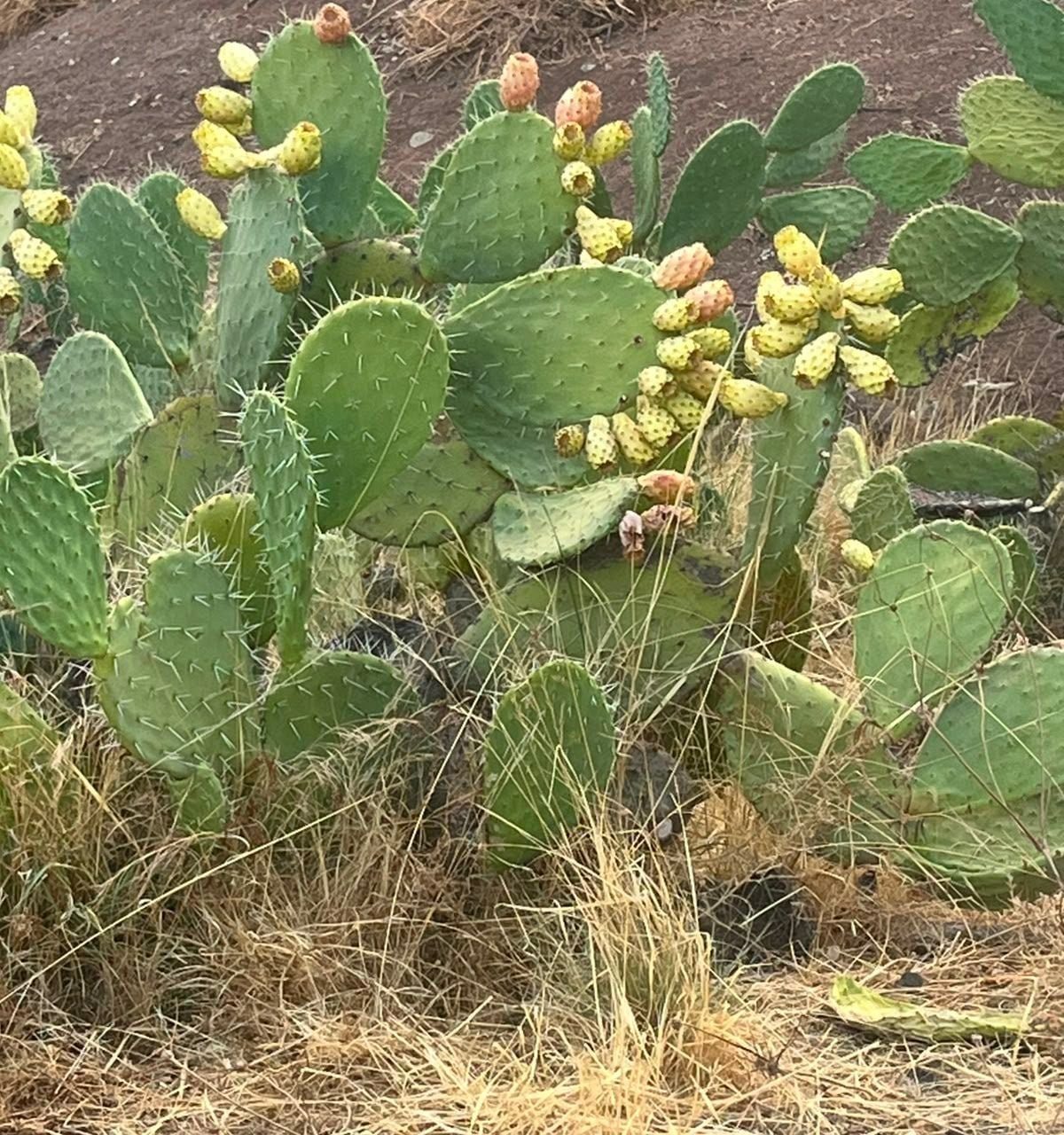 /ci202339/image_14070880.jpeg