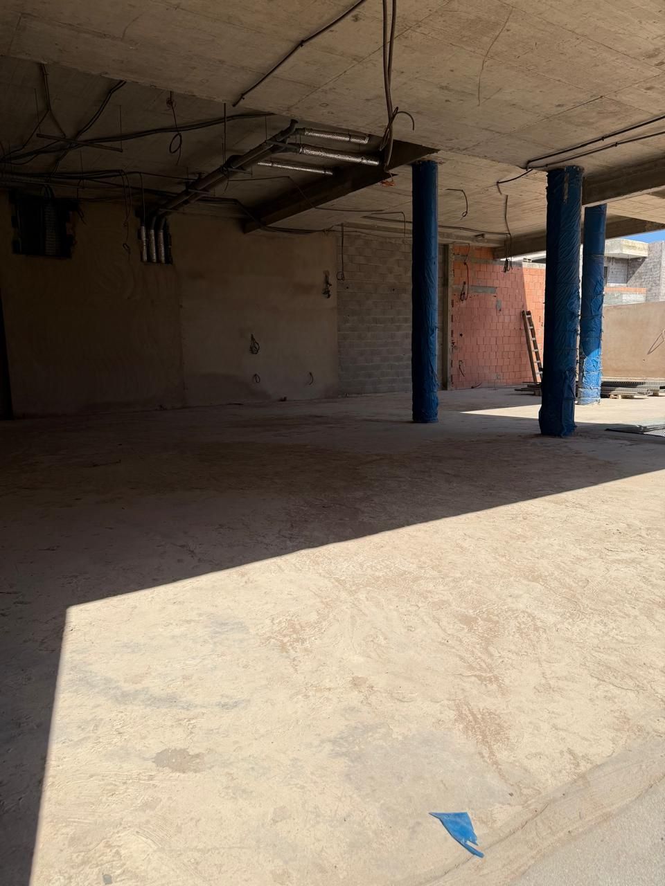 /ci203743/image_293824086.jpeg