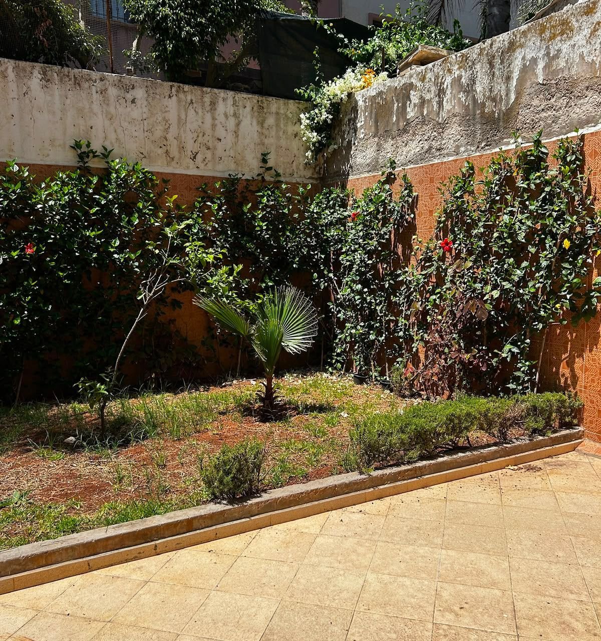 /ci210857/image_30864886.jpg