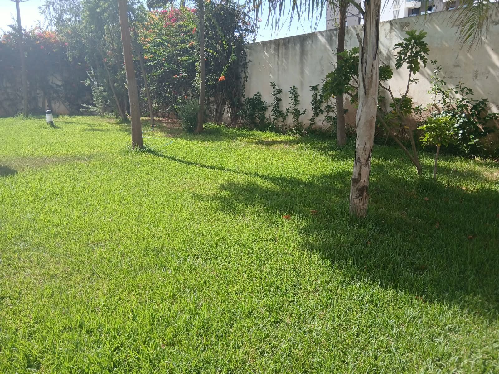 /ci213842/image_143724204.jpeg