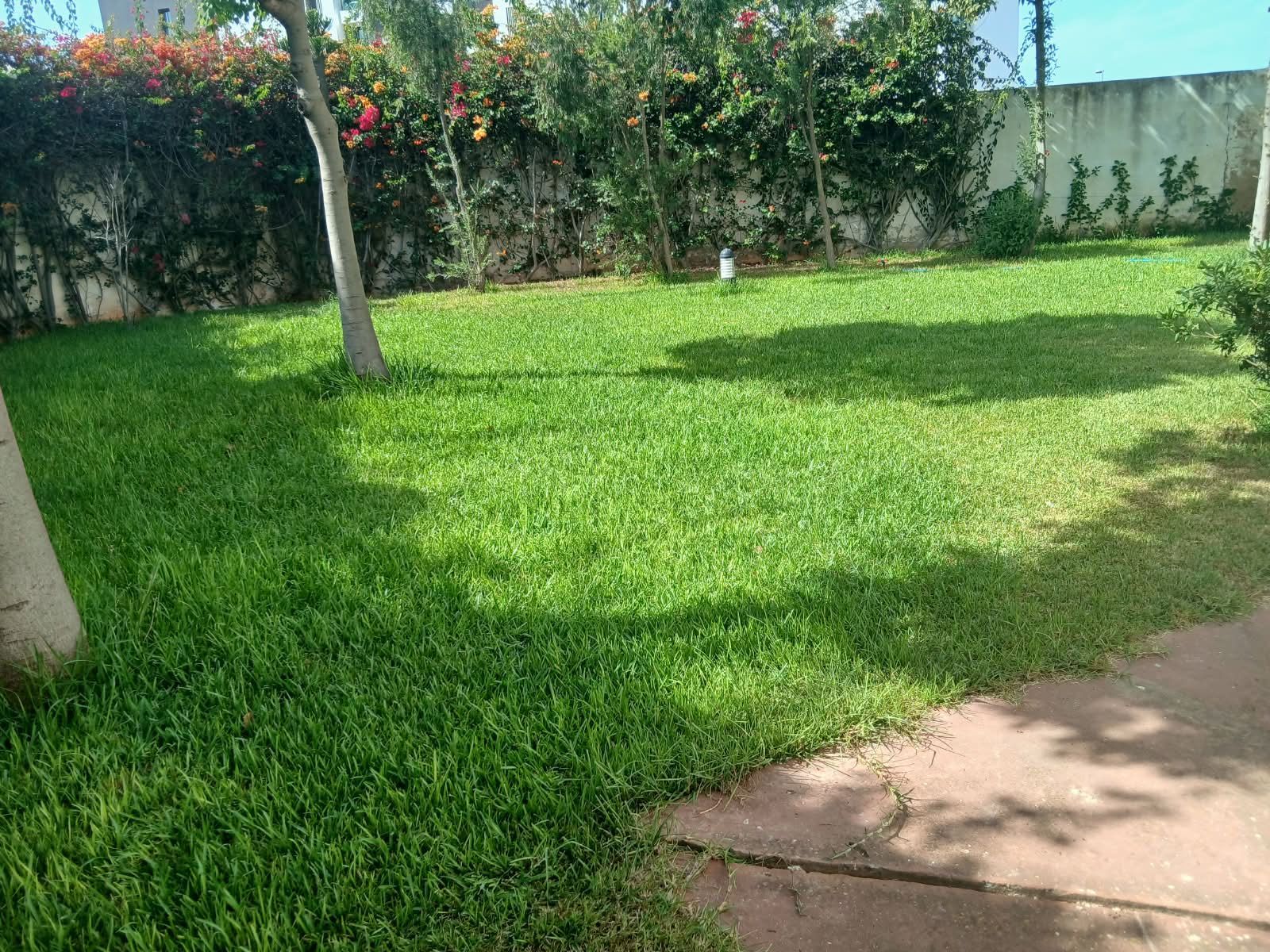 /ci213842/image_831825949.jpeg