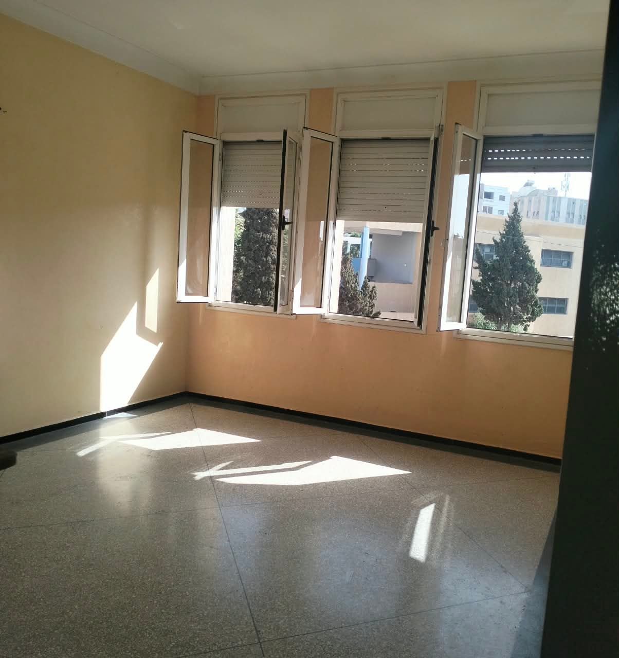 /ci214145/image_376577142.jpeg