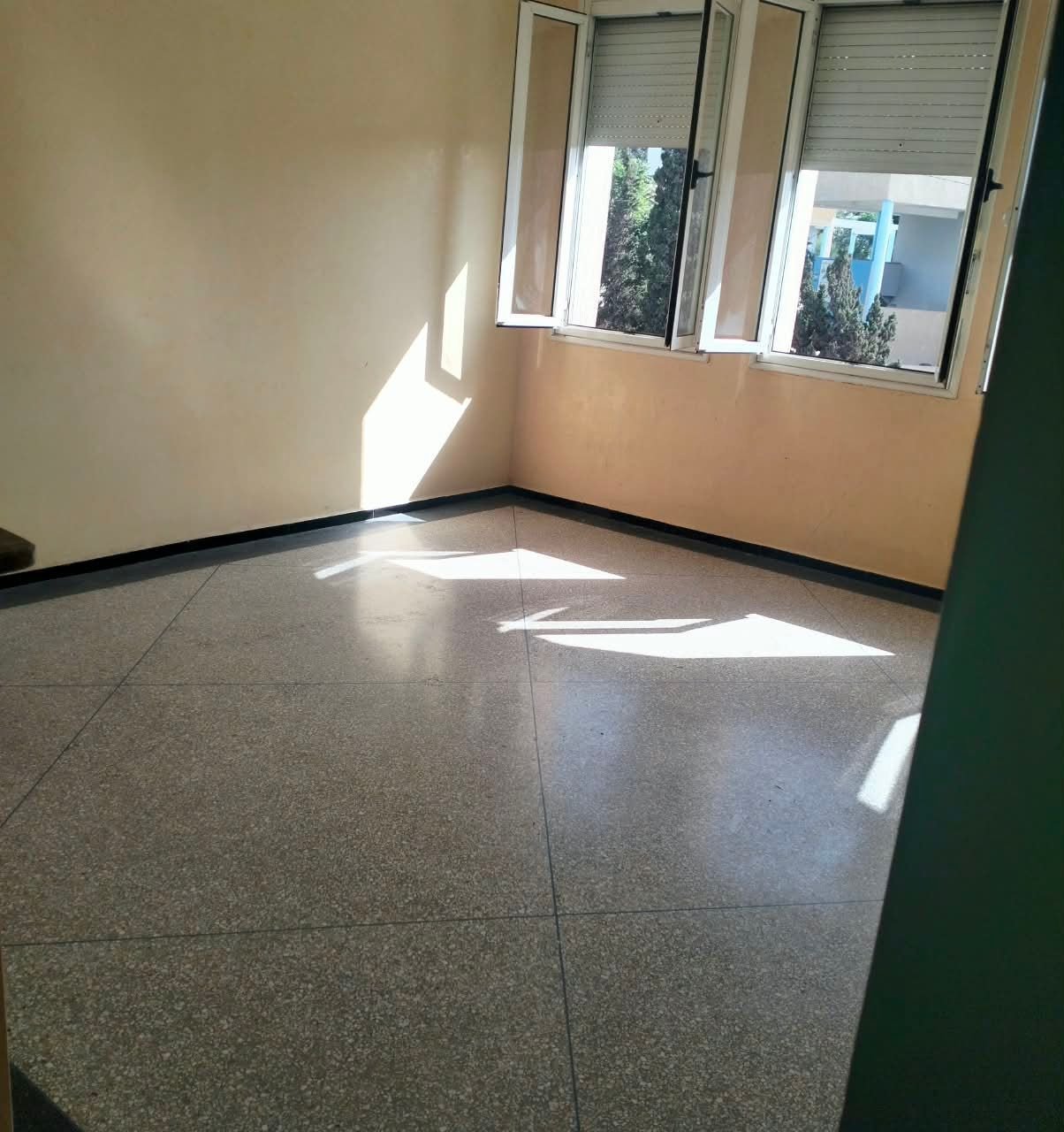 /ci214145/image_728202365.jpeg